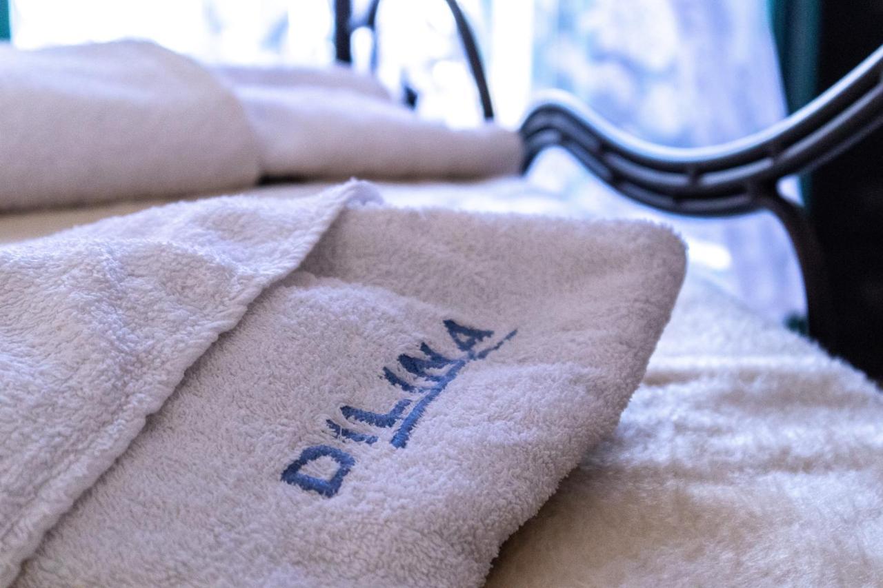 Dilina Studios Arkasa Dış mekan fotoğraf